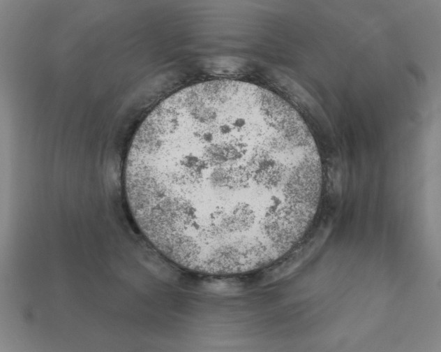 X0000111940561200909071302