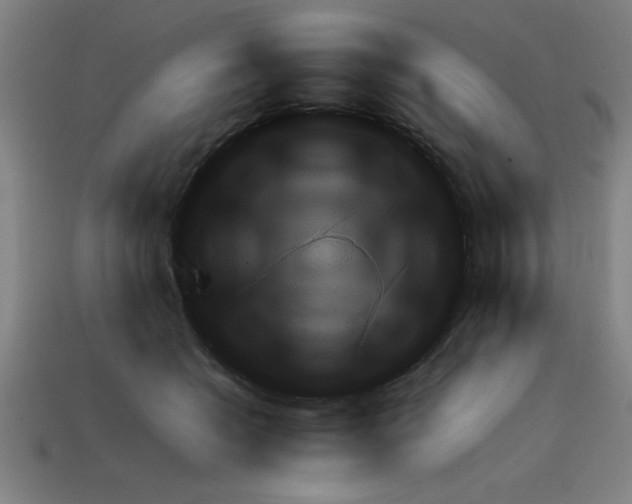X0000111940562200909071302