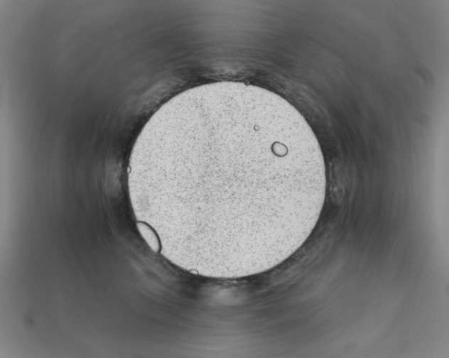 X0000111940563200909071302