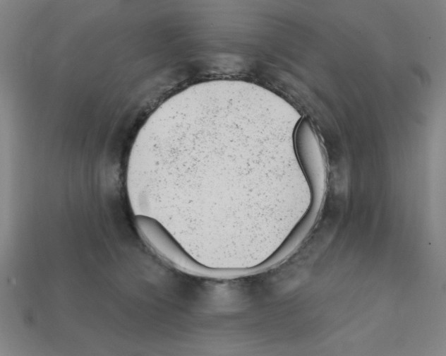 X0000111940564200909071302