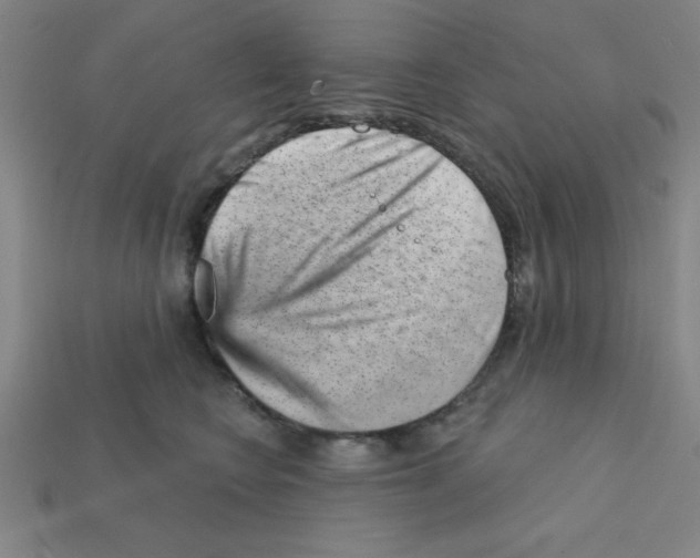 X0000111940566200909071302