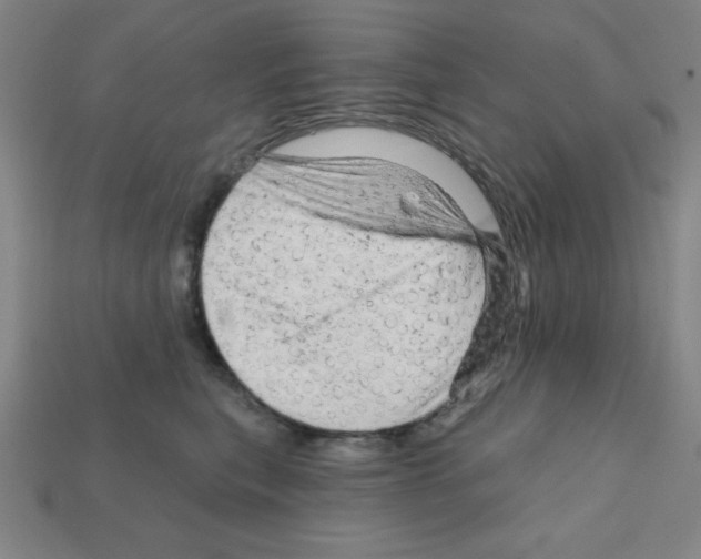 X0000111940567200909071302