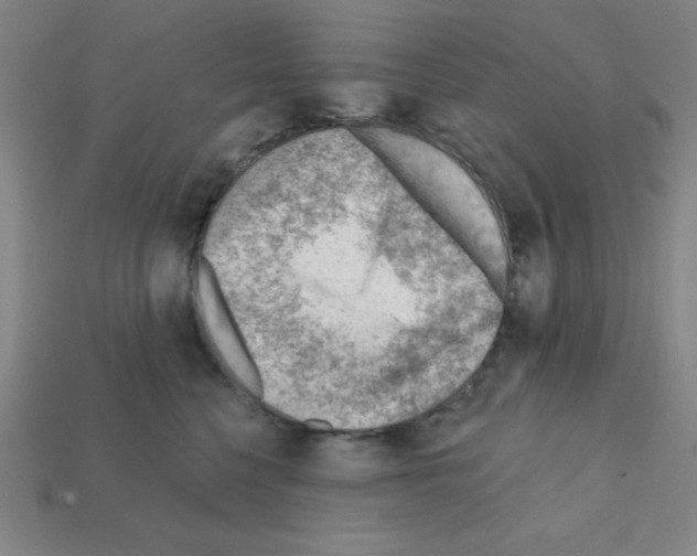 X0000111940568200909071302