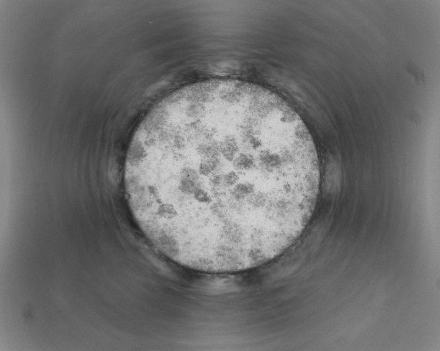 X0000111940569200909071302