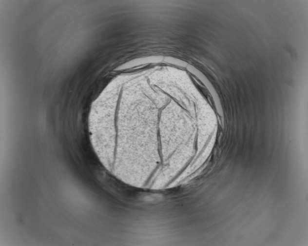 X0000111940572200909071302
