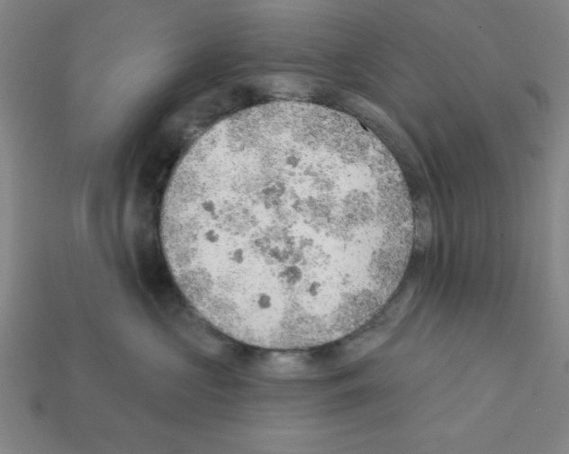 X0000111940573200909071302