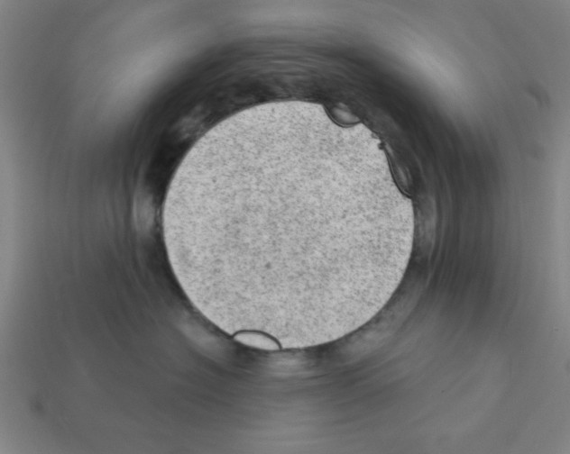 X0000111940574200909071302