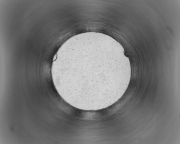 X0000111940575200909071302
