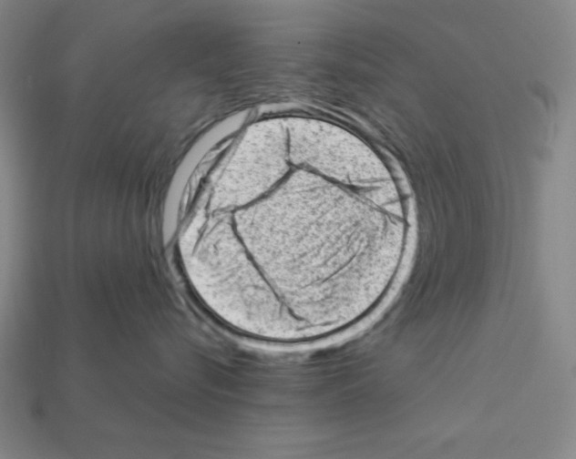 X0000111940576200909071302