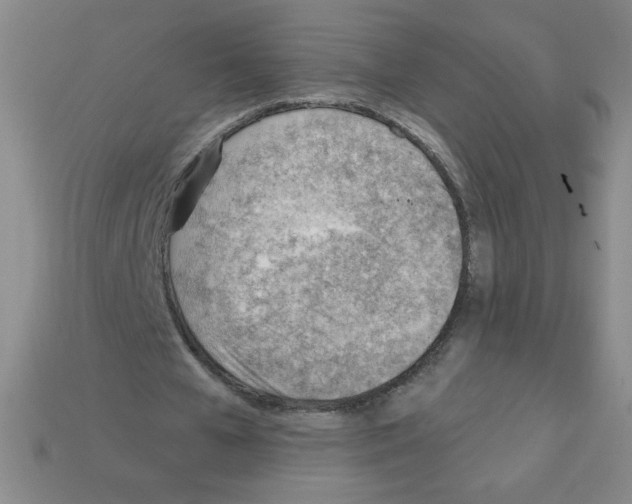 X0000111940577200909071301