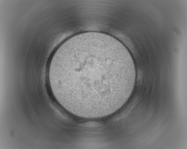 X0000111940578200909071301