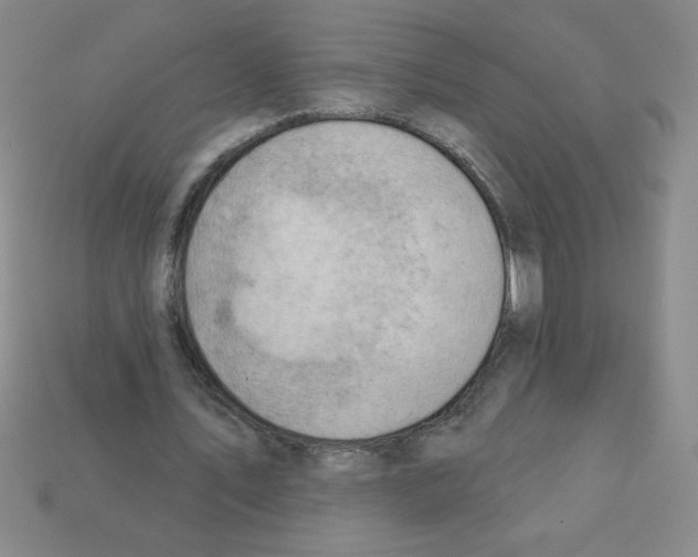 X0000111940579200909071301