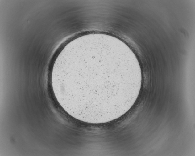 X0000111940580200909071301