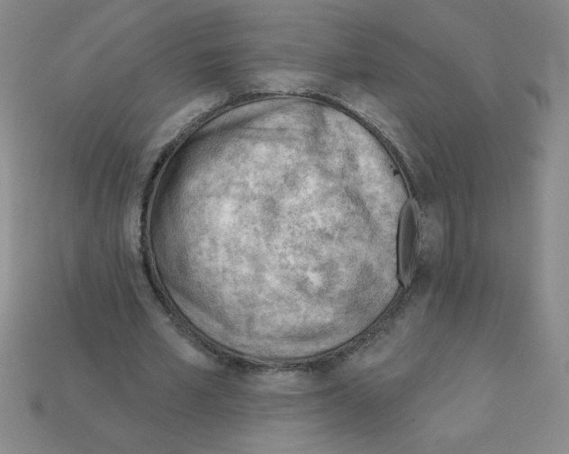 X0000111940581200909071301