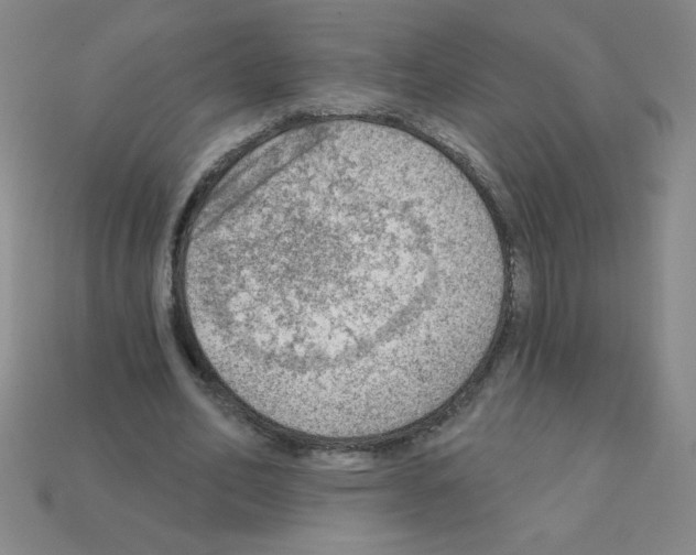 X0000111940582200909071301