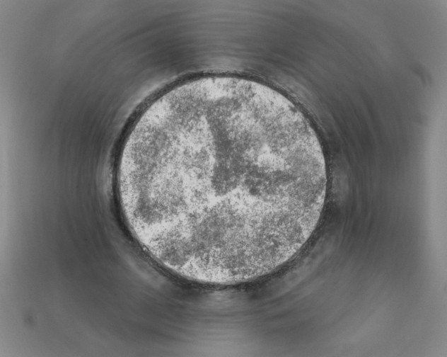 X0000111940584200909071301
