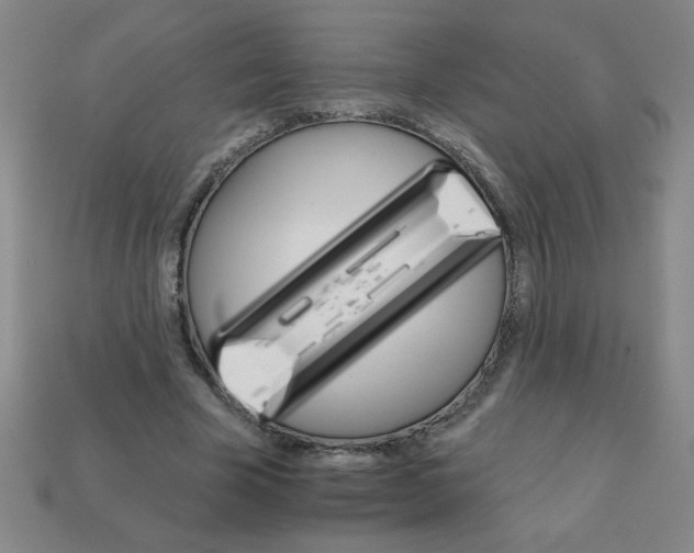 X0000111940585200909071301