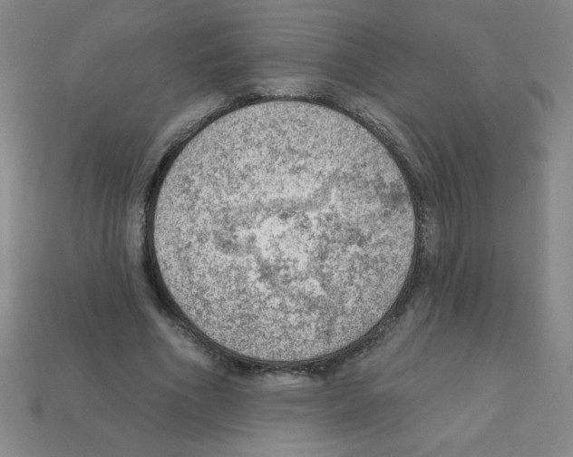 X0000111940586200909071301