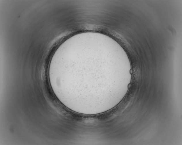 X0000111940587200909071301