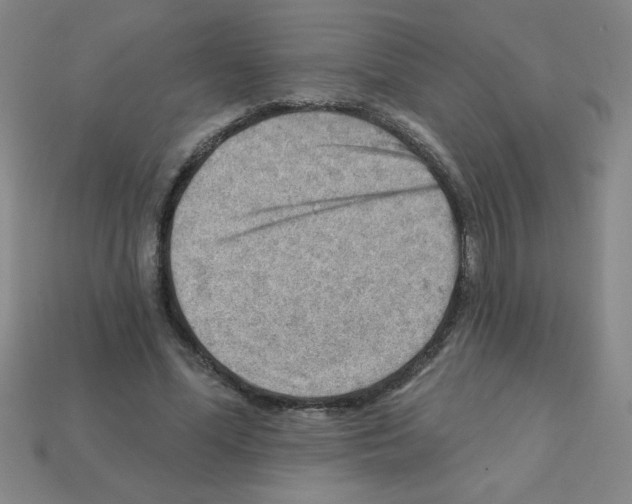 X0000111940588200909071301