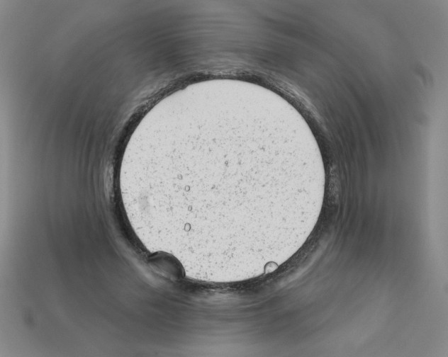 X0000111940589200909071301