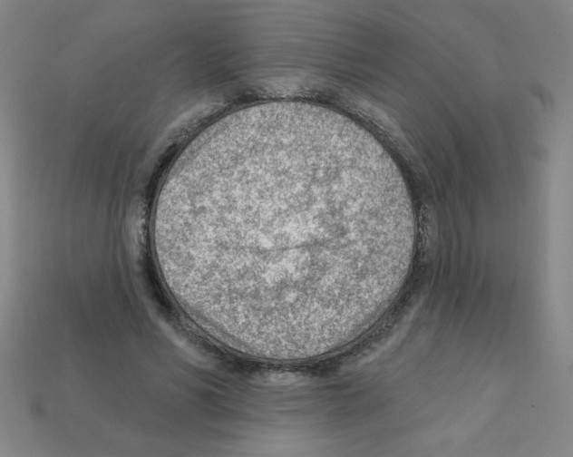 X0000111940590200909071301