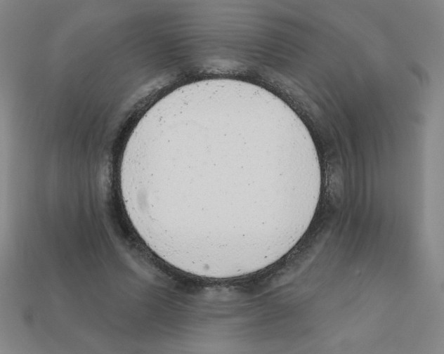 X0000111940591200909071301