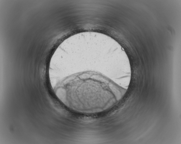 X0000111940592200909071301