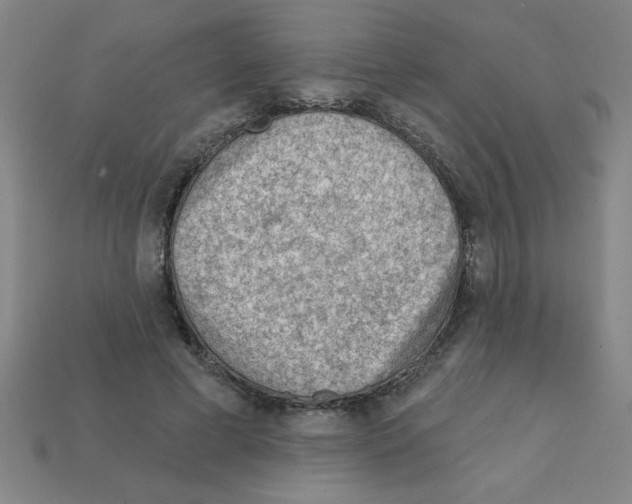 X0000111940593200909071301