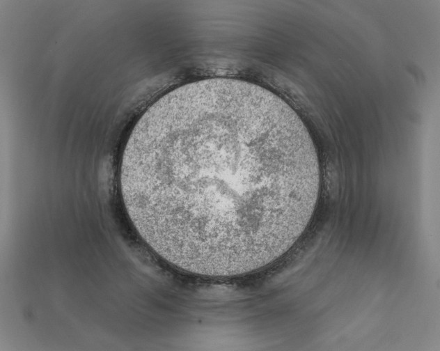 X0000111940594200909071301