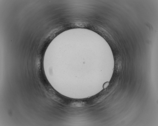 X0000111940595200909071301