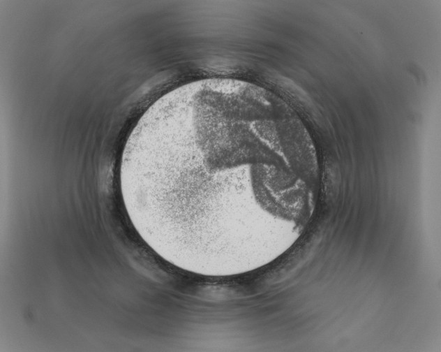 X0000111940596200909071301