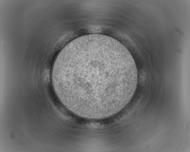 X0000111940598200909071301