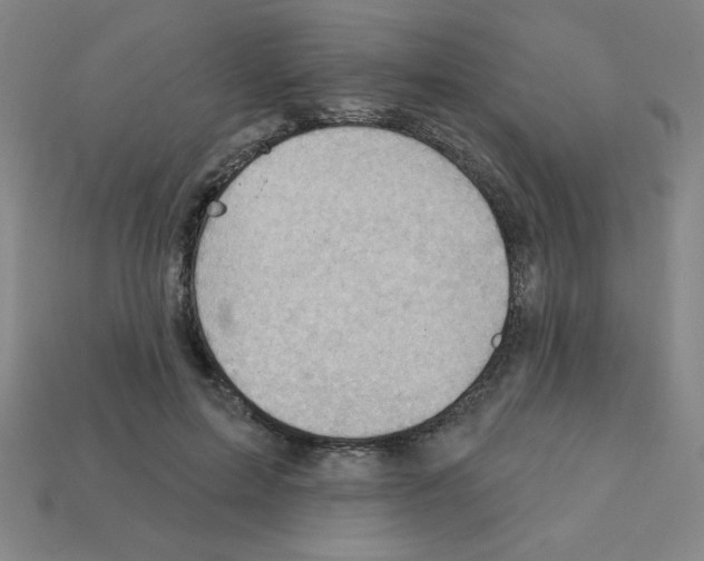X0000111940599200909071301