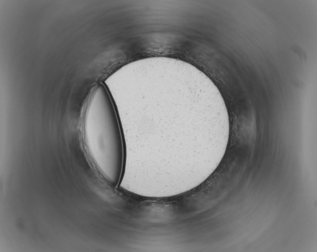 X0000111940601200909071301