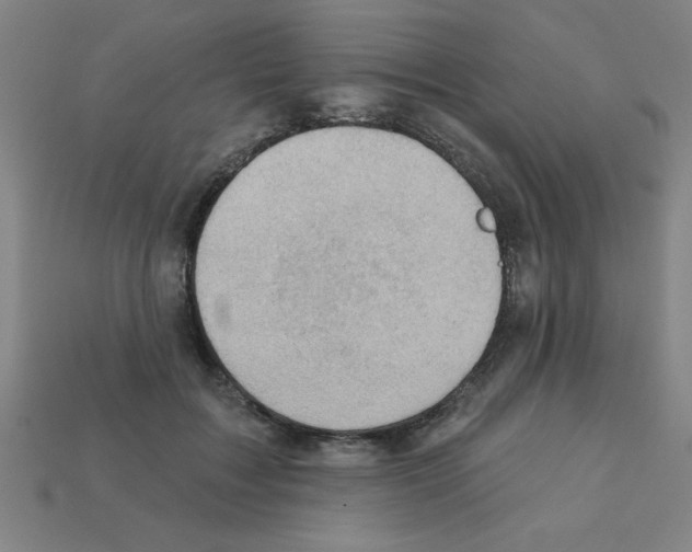 X0000111940603200909071301