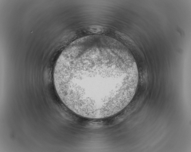 X0000111940606200909071301