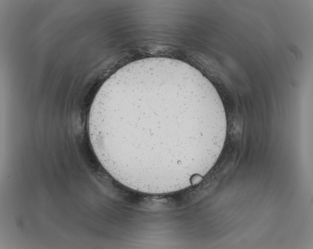 X0000111940607200909071301