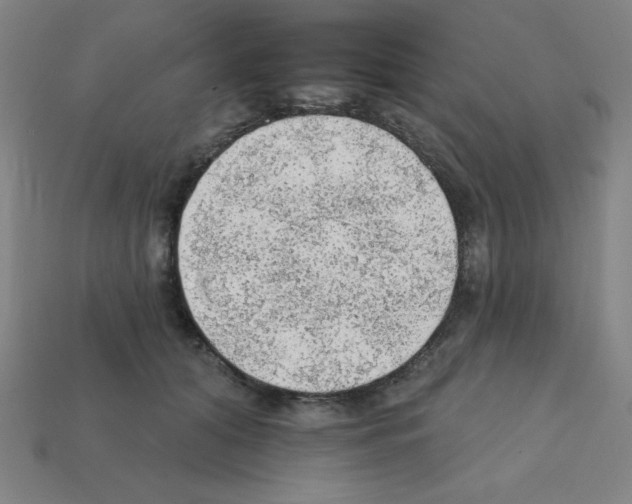 X0000111940608200909071301