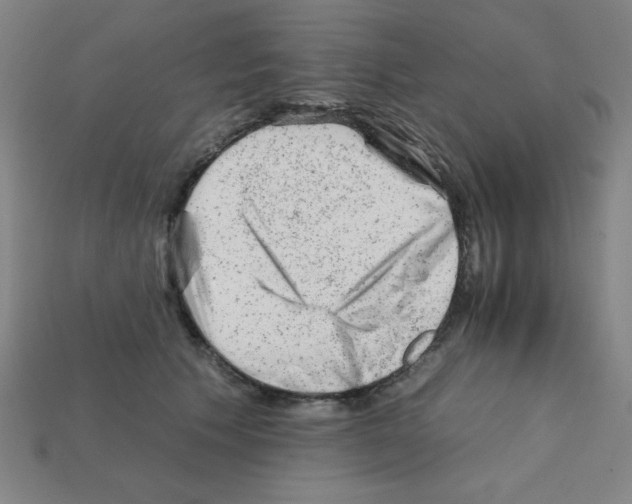 X0000111940609200909071301