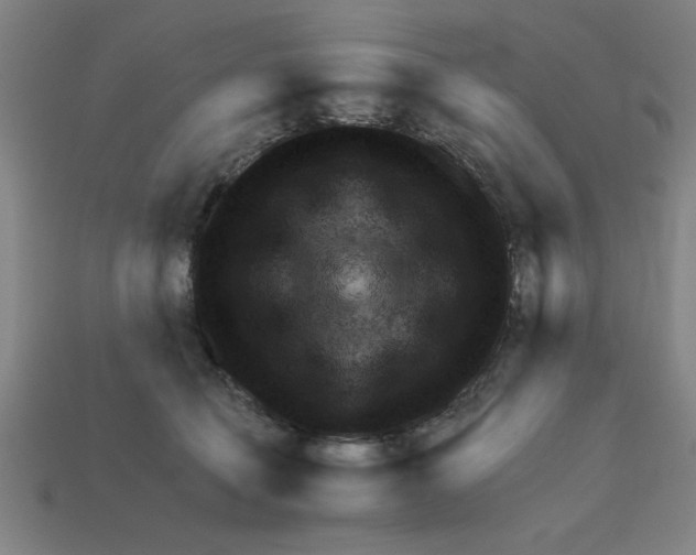 X0000111940610200909071301