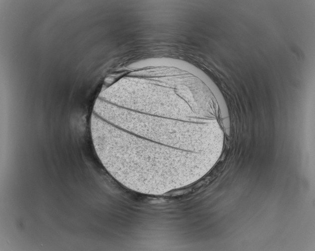 X0000111940611200909071301