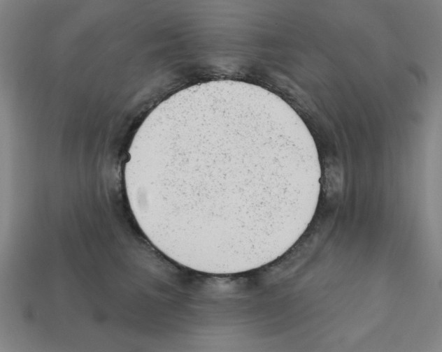 X0000111940613200909071301