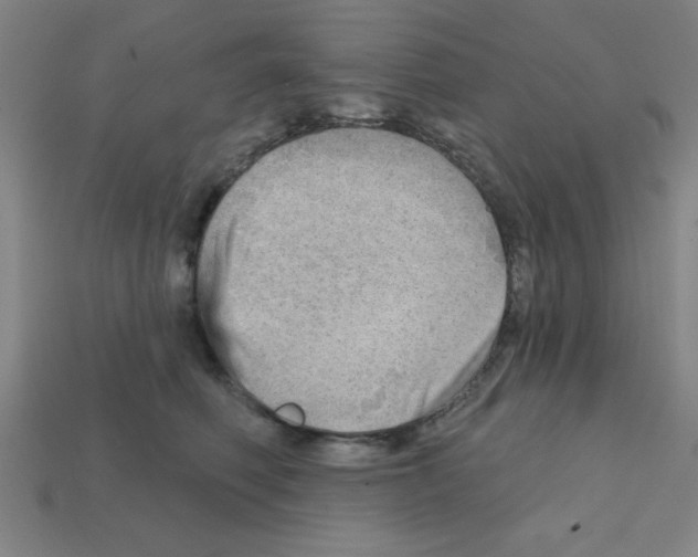 X0000111940614200909071301