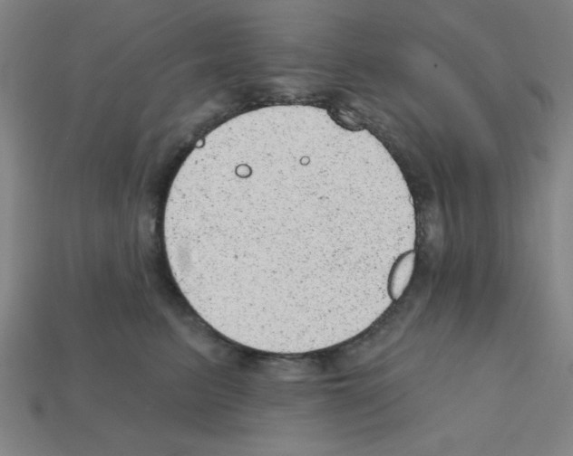 X0000111940615200909071301