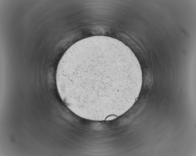 X0000111940616200909071301