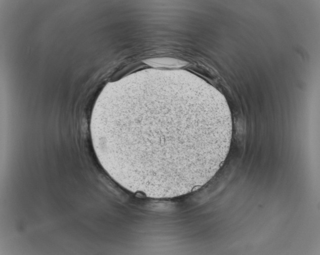 X0000111940617200909071301