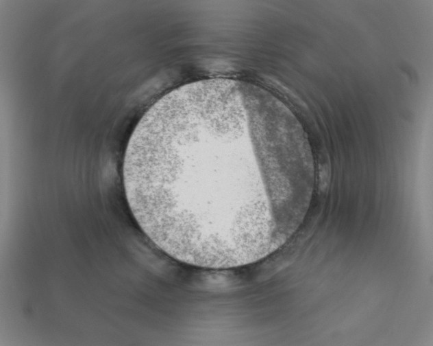X0000111940618200909071301