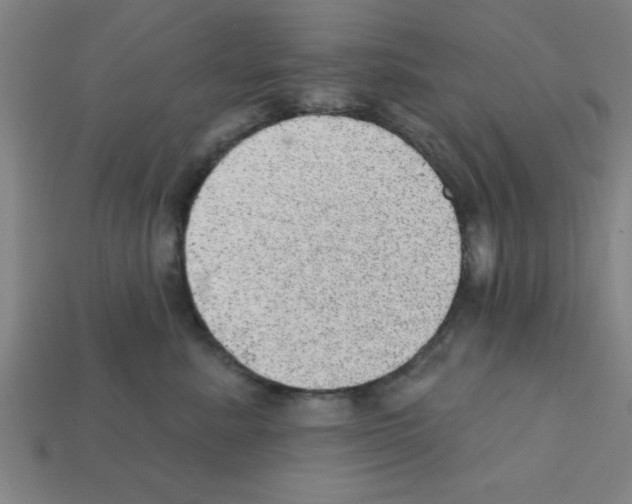 X0000111940619200909071301