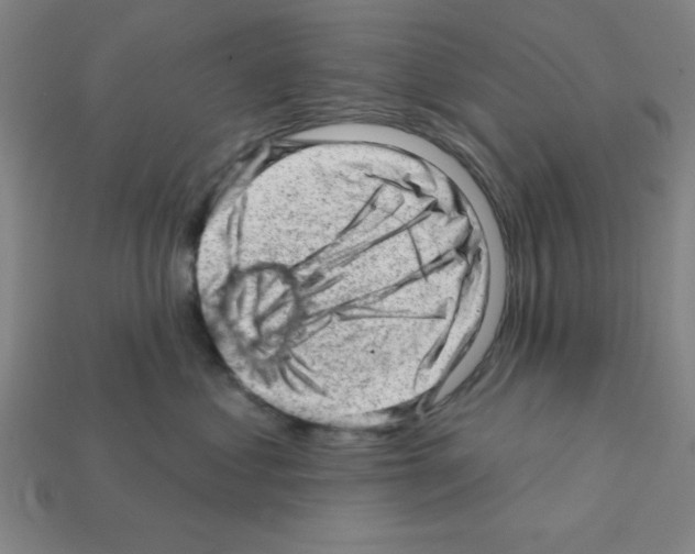 X0000111940621200909071301